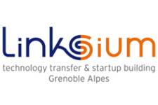 Linksium logo