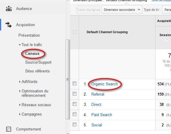 Visites organiques Google Analytics