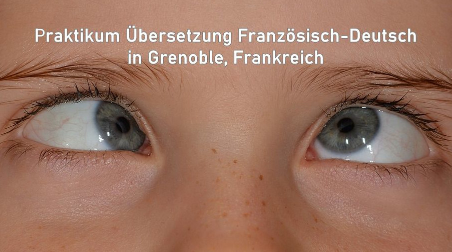 Praktikum Übersetzung Französisch-Deutsch, Englisch Deutsch (mind. 3 Monate) in Grenoble/Frankreich